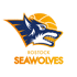 罗斯托克海狼 队徽